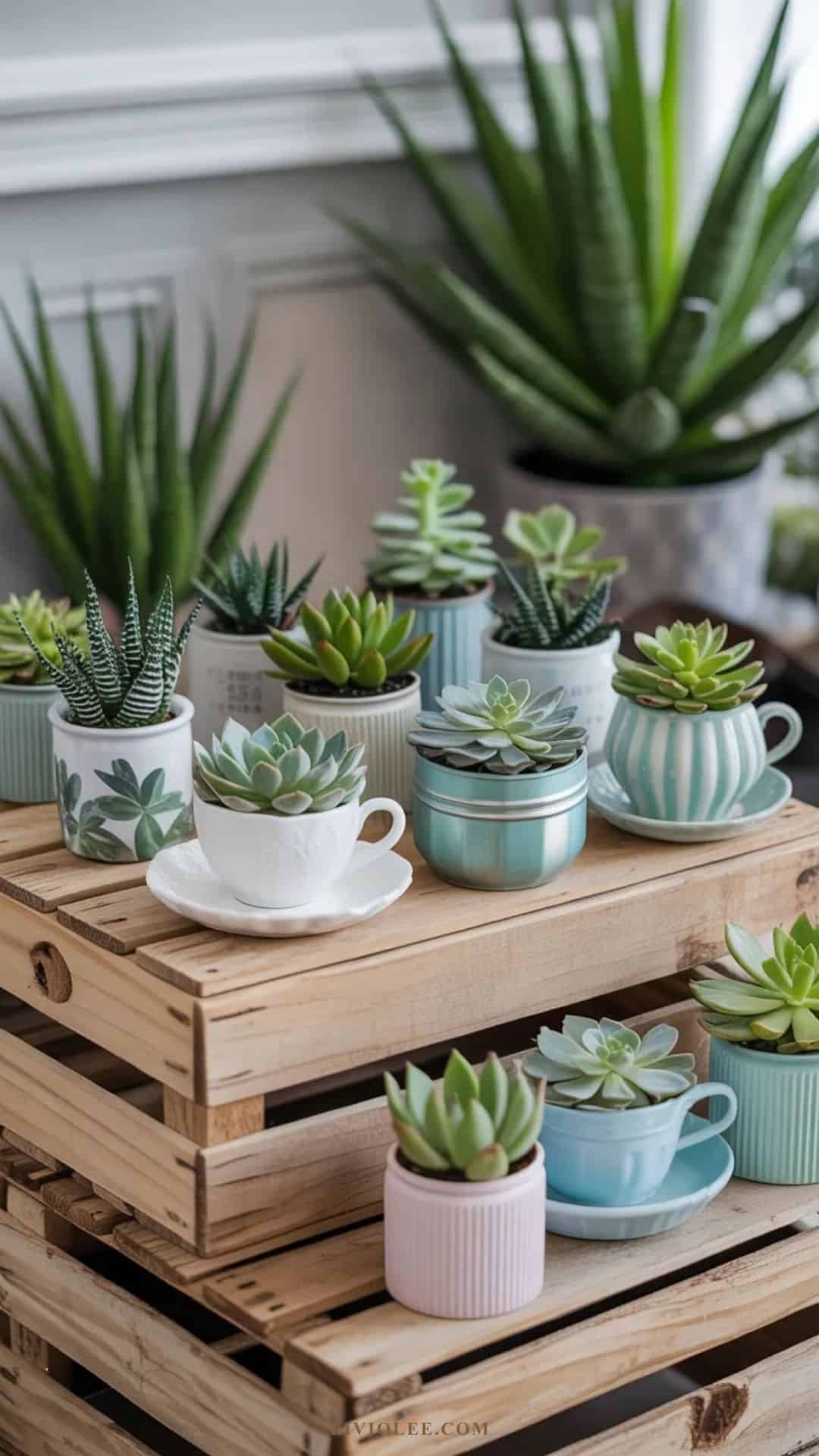 small potted succulents planted in upcycled containers like vintage teacups, mason jars, and tin cans