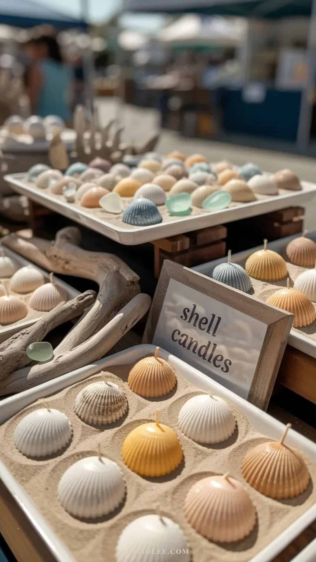 selection of sea shell shaped candles