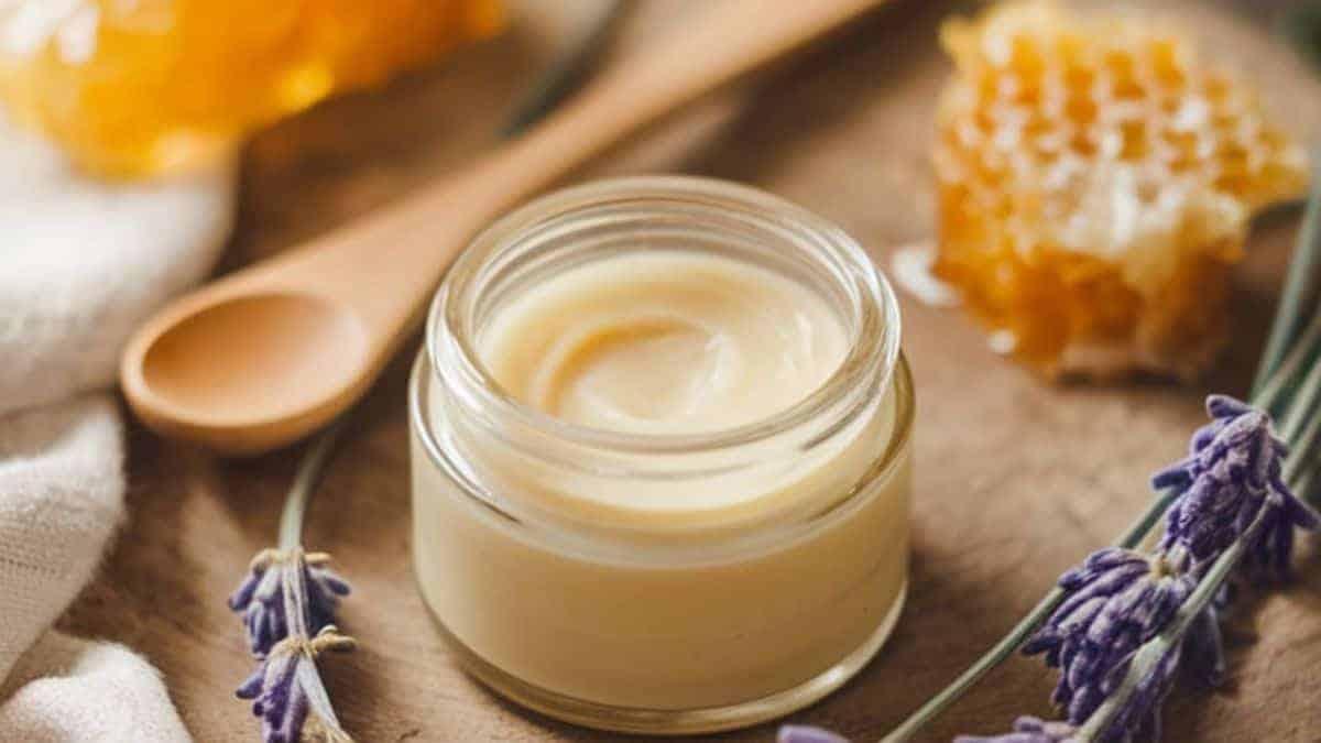 tallow and honey skin balm