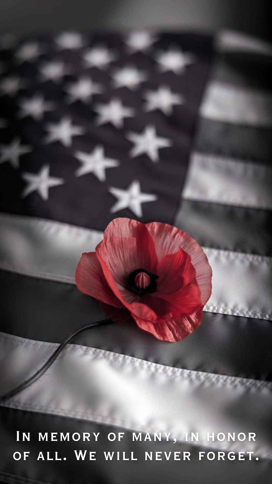 memorial day quotes memory of the many