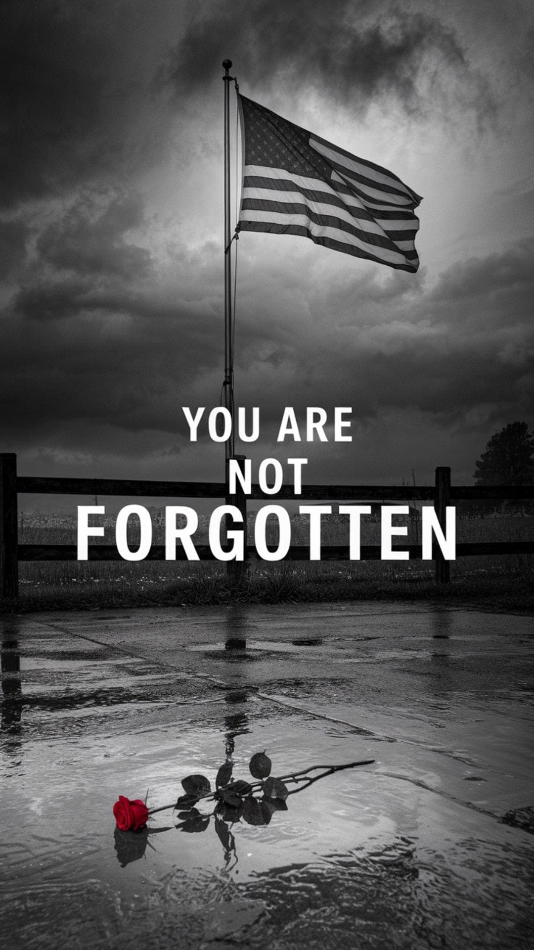 Black-and-white Memorial Day image featuring an American flag under storm clouds with a single red rose on wet pavement